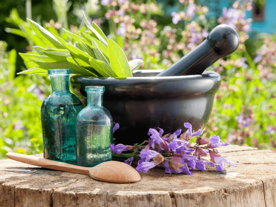 Các loại thảo mộc để tắm chữa bệnh thoái hóa xương khớp
